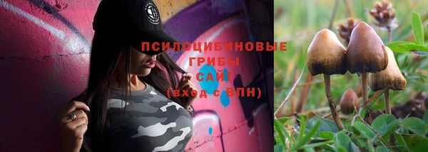 таблы Арсеньев