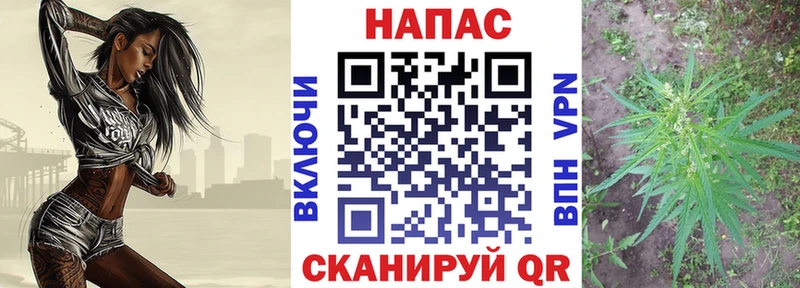 Шишки марихуана THC 21%  Купить где  Дубна 